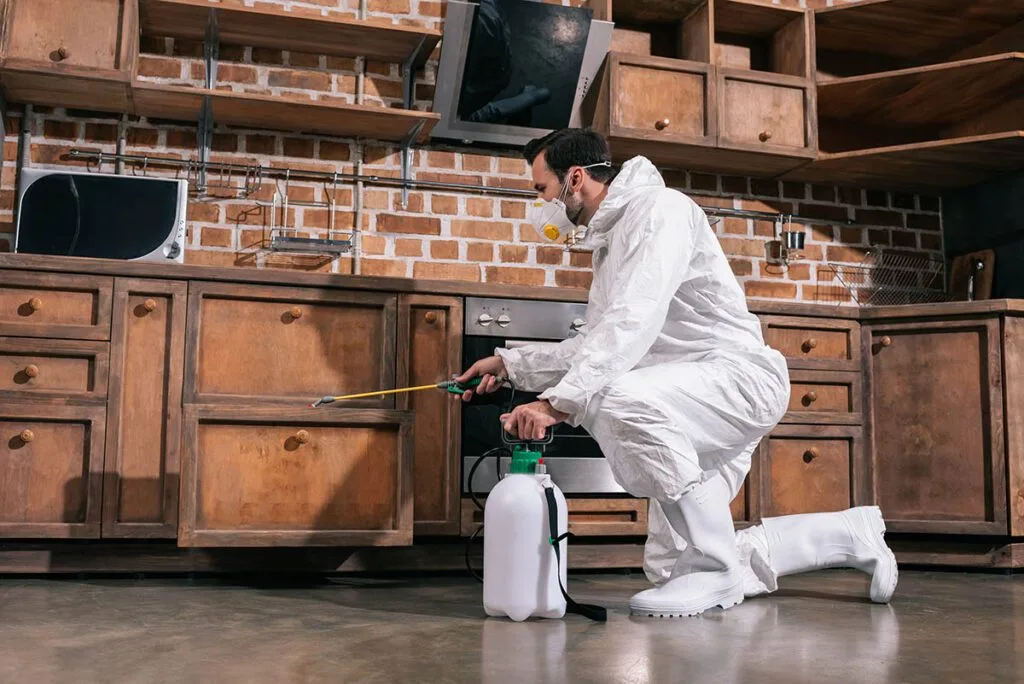 pest control worker spraying pesticides in cabinet 2022 12 16 16 55 30 utc copy 1